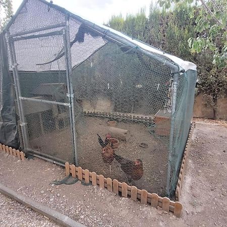 Casita De Invitados En Otura Esterno foto